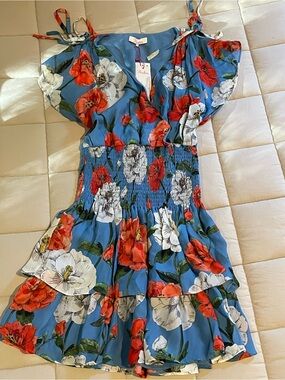Parker Blue Floral Mini Dress with Red & White Blooms
